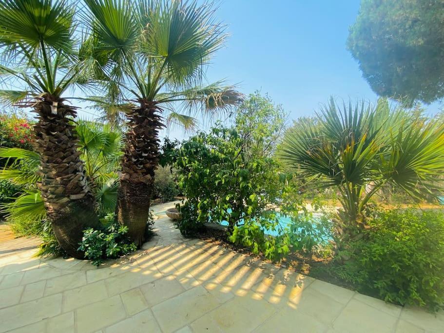 Atlantide - Somptueuse Villa Classee 4 Etoiles - Saint-Clair - Vue Exceptionnelle - Piscine Sete Bagian luar foto